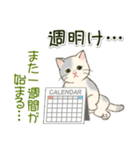 やる気が出ない だらだらにゃんこ（個別スタンプ：27）