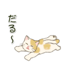 やる気が出ない だらだらにゃんこ（個別スタンプ：31）