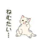 やる気が出ない だらだらにゃんこ（個別スタンプ：36）