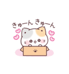 うるうるおめめ＊ぷにゃんこ（個別スタンプ：3）