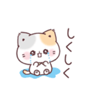 うるうるおめめ＊ぷにゃんこ（個別スタンプ：7）