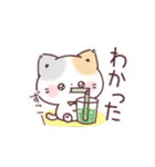 うるうるおめめ＊ぷにゃんこ（個別スタンプ：14）