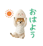 ⚡飛び出す！ポメラニアンの日常スタンプ（個別スタンプ：1）