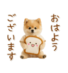 ⚡飛び出す！ポメラニアンの日常スタンプ（個別スタンプ：2）