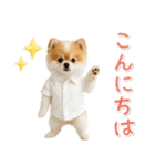 ⚡飛び出す！ポメラニアンの日常スタンプ（個別スタンプ：3）