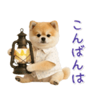 ⚡飛び出す！ポメラニアンの日常スタンプ（個別スタンプ：4）