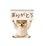 ⚡飛び出す！ポメラニアンの日常スタンプ（個別スタンプ：8）