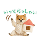 ⚡飛び出す！ポメラニアンの日常スタンプ（個別スタンプ：18）
