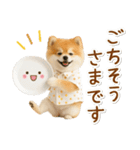 ⚡飛び出す！ポメラニアンの日常スタンプ（個別スタンプ：20）
