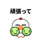 なるほどニワトリ（個別スタンプ：5）