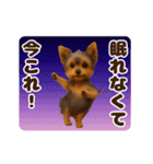 踊る！今これ界隈わんこMAX/犬/いぬ/イヌ（個別スタンプ：4）