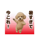 踊る！今これ界隈わんこMAX/犬/いぬ/イヌ（個別スタンプ：6）