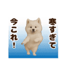 踊る！今これ界隈わんこMAX/犬/いぬ/イヌ（個別スタンプ：7）
