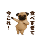 踊る！今これ界隈わんこMAX/犬/いぬ/イヌ（個別スタンプ：13）