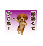 踊る！今これ界隈わんこMAX/犬/いぬ/イヌ（個別スタンプ：16）