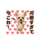 踊る！今これ界隈わんこMAX/犬/いぬ/イヌ（個別スタンプ：18）