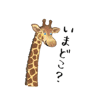 どうぶつたちのLINEスタンプ（個別スタンプ：7）