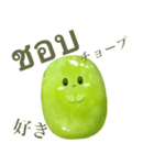 ぽってり キウイ ちゃん【タイ語】（個別スタンプ：16）