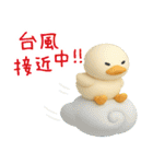 3D★お天気のアヒル【敬語】（個別スタンプ：7）