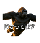 いま行くゴリラ【毎日使える・出勤・仕事】（個別スタンプ：1）