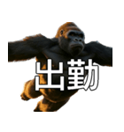いま行くゴリラ【毎日使える・出勤・仕事】（個別スタンプ：2）