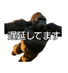 いま行くゴリラ【毎日使える・出勤・仕事】（個別スタンプ：5）