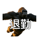 いま行くゴリラ【毎日使える・出勤・仕事】（個別スタンプ：10）