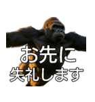 いま行くゴリラ【毎日使える・出勤・仕事】（個別スタンプ：11）