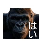 いま行くゴリラ【毎日使える・出勤・仕事】（個別スタンプ：23）