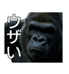 いま行くゴリラ【毎日使える・出勤・仕事】（個別スタンプ：27）