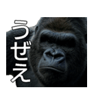 いま行くゴリラ【毎日使える・出勤・仕事】（個別スタンプ：28）