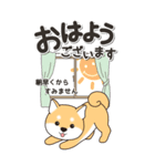 やさしい赤柴『仕事＆連絡』（個別スタンプ：1）