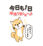 やさしい赤柴『仕事＆連絡』（個別スタンプ：3）