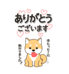 やさしい赤柴『仕事＆連絡』（個別スタンプ：5）
