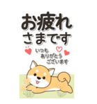 やさしい赤柴『仕事＆連絡』（個別スタンプ：16）