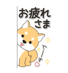 やさしい赤柴『仕事＆連絡』（個別スタンプ：19）