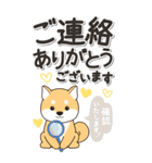 やさしい赤柴『仕事＆連絡』（個別スタンプ：21）