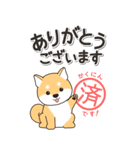 やさしい赤柴『仕事＆連絡』（個別スタンプ：22）