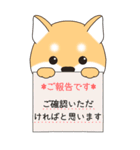 やさしい赤柴『仕事＆連絡』（個別スタンプ：25）