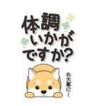 やさしい赤柴『仕事＆連絡』（個別スタンプ：29）