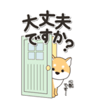 やさしい赤柴『仕事＆連絡』（個別スタンプ：30）
