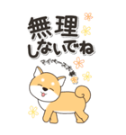 やさしい赤柴『仕事＆連絡』（個別スタンプ：32）