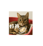 小花達の日常会話スタンプ2（台湾華語）（個別スタンプ：12）