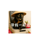 小花達の日常会話スタンプ2（台湾華語）（個別スタンプ：14）