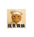 小花達の日常会話スタンプ2（台湾華語）（個別スタンプ：16）