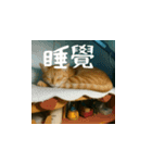 小花達の日常会話スタンプ2（台湾華語）（個別スタンプ：18）