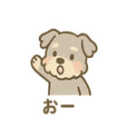 ゆるふわシュナさん のんびり日常スタンプ（個別スタンプ：1）