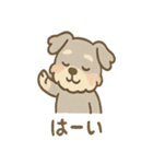 ゆるふわシュナさん のんびり日常スタンプ（個別スタンプ：4）
