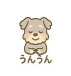 ゆるふわシュナさん のんびり日常スタンプ（個別スタンプ：9）