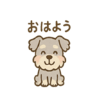 ゆるふわシュナさん のんびり日常スタンプ（個別スタンプ：11）